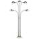 Lite Source Rowley 60" Brushed Nickel Metal 5-Light Modern Floor Lamp