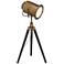 Lite Source Saga Brass Old Hollywood Adjustable Tripod Desk Lamp