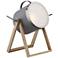 Lite Source Sully 11 1/2" High Wood and Gray Metal Drum Lamp