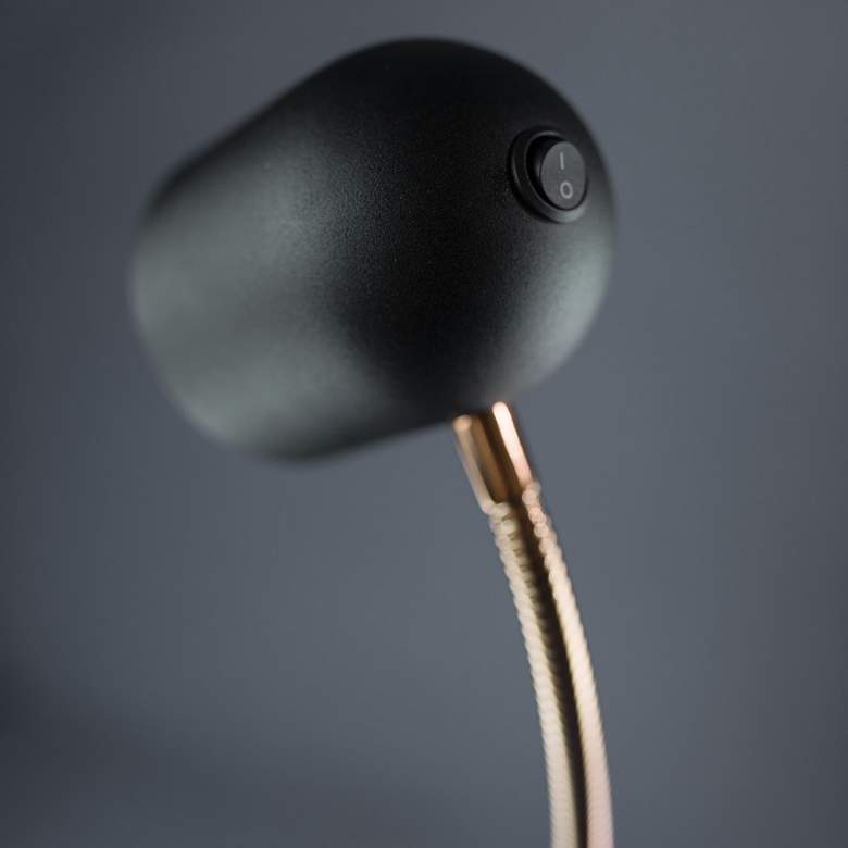 Image 3 Lite Source Tiara 51" Black and Brass Modern LED Gooseneck Floor Lamp more views