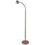 2_Lite Source Tiara 51" French Gold Modern LED Gooseneck Floor Lamp
