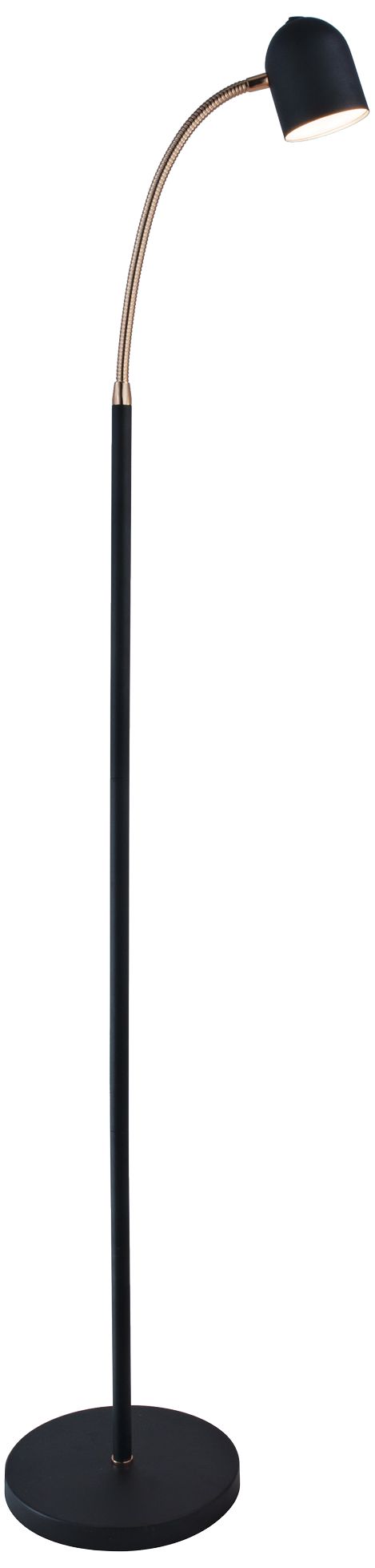 black gooseneck floor lamp