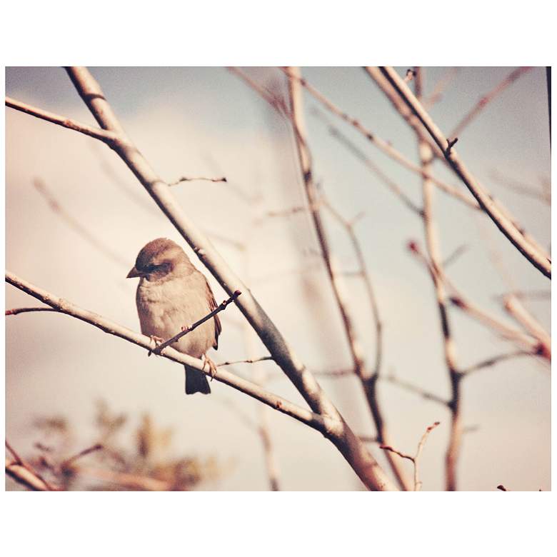 Image 1 Little Sparrow 18 inch Wide Canvas Wall Art