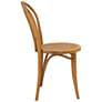 Liva Natural and Walnut Side Chairs Set of 2