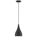 Livex Lighting Amador Black Collection