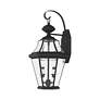 4_Livex Georgetown 20 3/4"H Black 2-Light Outdoor Wall Light more views