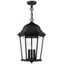 3_Livex Hamilton 20" Textured Black 3-Light Outdoor Hanging Light