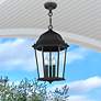 2_Livex Hamilton 20" Textured Black 3-Light Outdoor Hanging Light