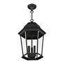 Livex Hamilton 20" Textured Black 3-Light Outdoor Hanging Light in scene