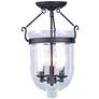 2_Livex Lighitng Jefferson 12" Wide Bronze and Clear Glass Ceiling Light