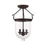 3_Livex Lighitng Jefferson 12" Wide Bronze and Clear Glass Ceiling Light more views