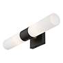 7_Livex Lighting Aero 17 3/4" High Black ADA 2-Light Wall Sconce more views