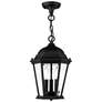 3_Livex Lighting Hamilton 9 1/2" Black 3-Light Outdoor Hanging Light