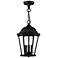 Livex Lighting Hamilton 9 1/2" Black 3-Light Outdoor Hanging Light