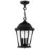 Livex Lighting Hamilton 9 1/2" Black 3-Light Outdoor Hanging Light