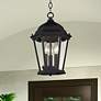 2_Livex Lighting Hamilton 9 1/2" Black 3-Light Outdoor Hanging Light