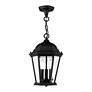 4_Livex Lighting Hamilton 9 1/2" Black 3-Light Outdoor Hanging Light more views