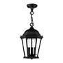7_Livex Lighting Hamilton 9 1/2" Black 3-Light Outdoor Hanging Light more views