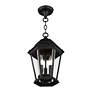 Livex Lighting Hamilton 9 1/2" Black 3-Light Outdoor Hanging Light in scene