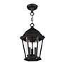 Livex Lighting Hamilton 9 1/2" Black 3-Light Outdoor Hanging Light in scene