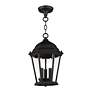 Livex Lighting Hamilton 9 1/2" Black 3-Light Outdoor Hanging Light in scene
