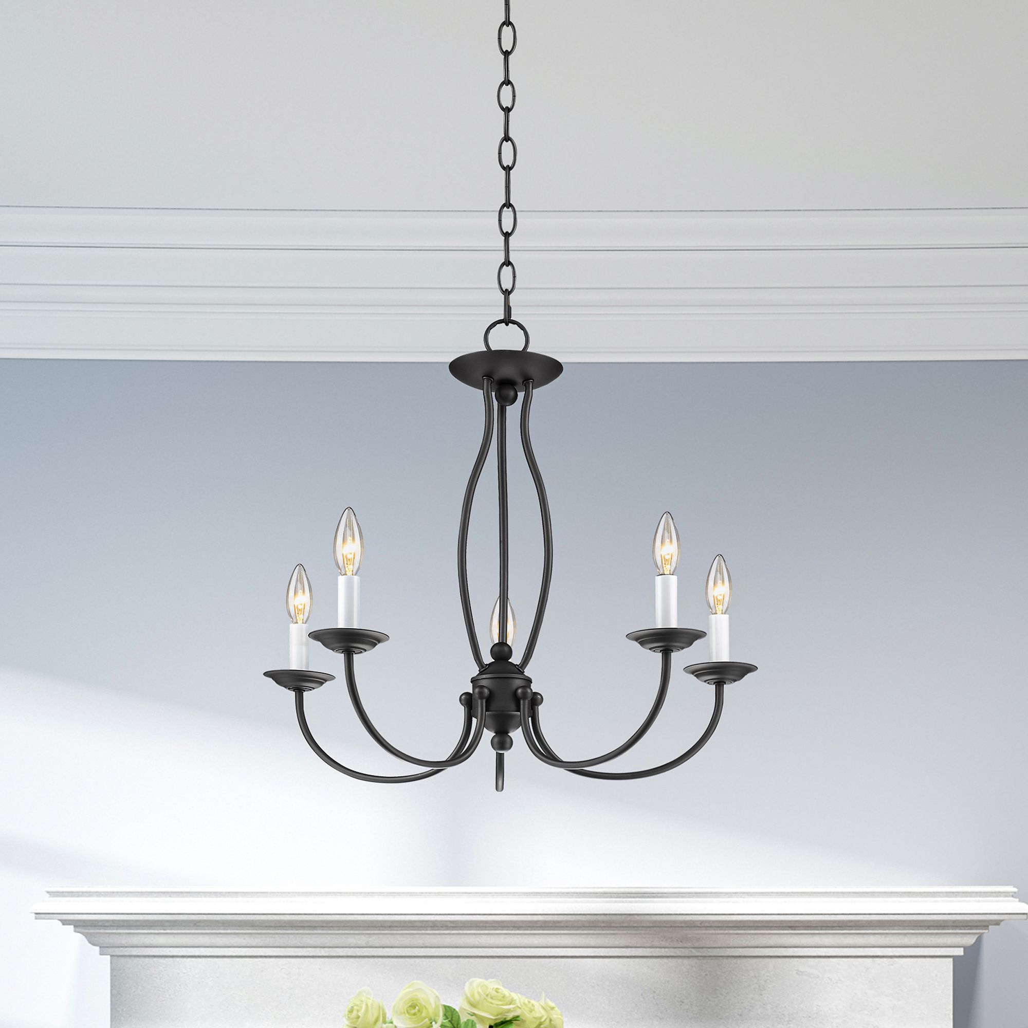 Livex Lighting Home Basics Bronze Collection