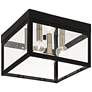Livex Lighting Nyack 10 1/2" Wide Black and Clear Glass Ceiling Light