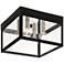 Livex Lighting Nyack 10 1/2" Wide Black and Clear Glass Ceiling Light