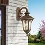 1_Livex Lighting Oxford 19" High Imperial Bronze Outdoor Wall Light