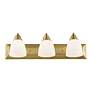 5_Livex Lighting Springfield 24" Wide 3-Light Antique Brass Bath Vanity more views