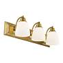 6_Livex Lighting Springfield 24" Wide 3-Light Antique Brass Bath Vanity more views
