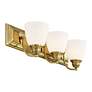 Livex Lighting Springfield 24" Wide 3-Light Antique Brass Bath Vanity