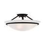Livex Newburgh 16" Wide Black Ceiling Light with Alabaster Glass in scene