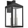 Livex Nyack 21 3/4" High Black Outdoor Wall Light