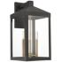 Livex Nyack 21 3/4" High Bronze Clear Glass Lantern Outdoor Wall Light