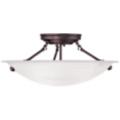 Livex Lighting Oasis Bronze Collection