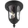 3_Livex Oxford 13 3/4" High Textured Black Lantern Outdoor Ceiling Light more views