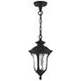 Livex Oxford 14" High Textured Black Lantern Outdoor Hanging Light