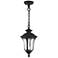 Livex Oxford 14" High Textured Black Lantern Outdoor Hanging Light