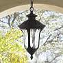 Livex Oxford 14" High Textured Black Lantern Outdoor Hanging Light