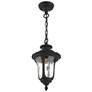 Livex Oxford 14" High Textured Black Lantern Outdoor Hanging Light