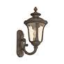 4_Livex Oxford 15 1/2" High Imperial Bronze Outdoor Wall Light more views