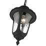 3_Livex Oxford 17 1/2" High Textured Black Lantern Outdoor Hanging Light more views