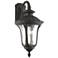 Livex Oxford 19" High Black Downward Lantern Outdoor Wall Light