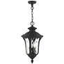 2_Livex Oxford 20 1/2" High Textured Black Lantern Outdoor Hanging Light