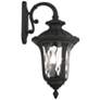 2_Livex Oxford 22 1/2" High Black Downward Lantern Outdoor Wall Light
