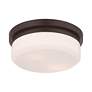 5_Livex Stratus 11" Wide Bronze Ceiling Light more views