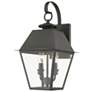 2_Livex Wentworth 16 1/2"H Charcoal 2-Light Outdoor Wall Light