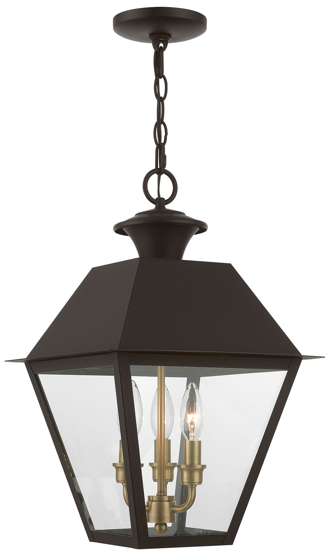 Livex Wentworth 19"H Bronze and Brass Outdoor Hanging Light