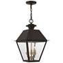 2_Livex Wentworth 19"H Bronze and Brass Outdoor Hanging Light